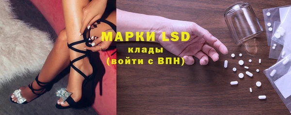 шишки Алзамай