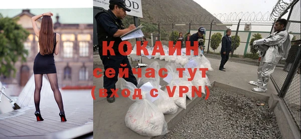 сатива Пролетарск