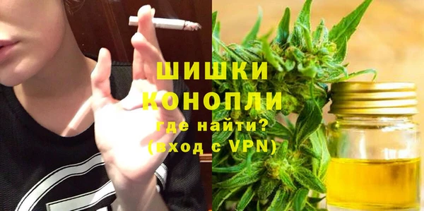 шишки Алзамай